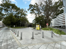 向かいにある靱公園