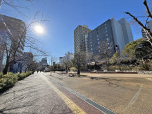 鈴中ビル大森前面通り