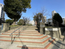 向かいにある中大江公