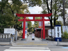 並びの富岡八幡宮