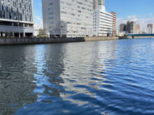 向かいの寝屋川