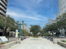 播磨坂さくら並木麓に