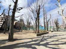 至近の竹早公園