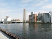 Nbf Toyosu Canal Front Find Office Space In Tokyo Officee