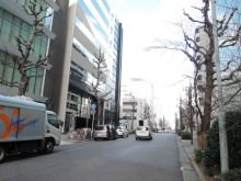 オフィスビル付近の路