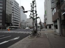 第43オーシャンビル前面の大津通り