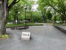 近くの下園公園