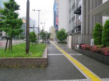 緑豊かな雰囲気に整え