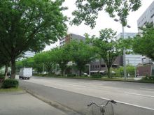 NSビル前面の通り