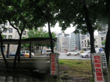 緑が豊富な歩道