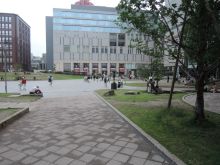 穏やかなオフィス環境