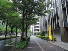 オフィスビル前面の緑