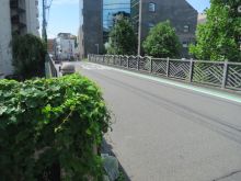 ビル付近の上台橋